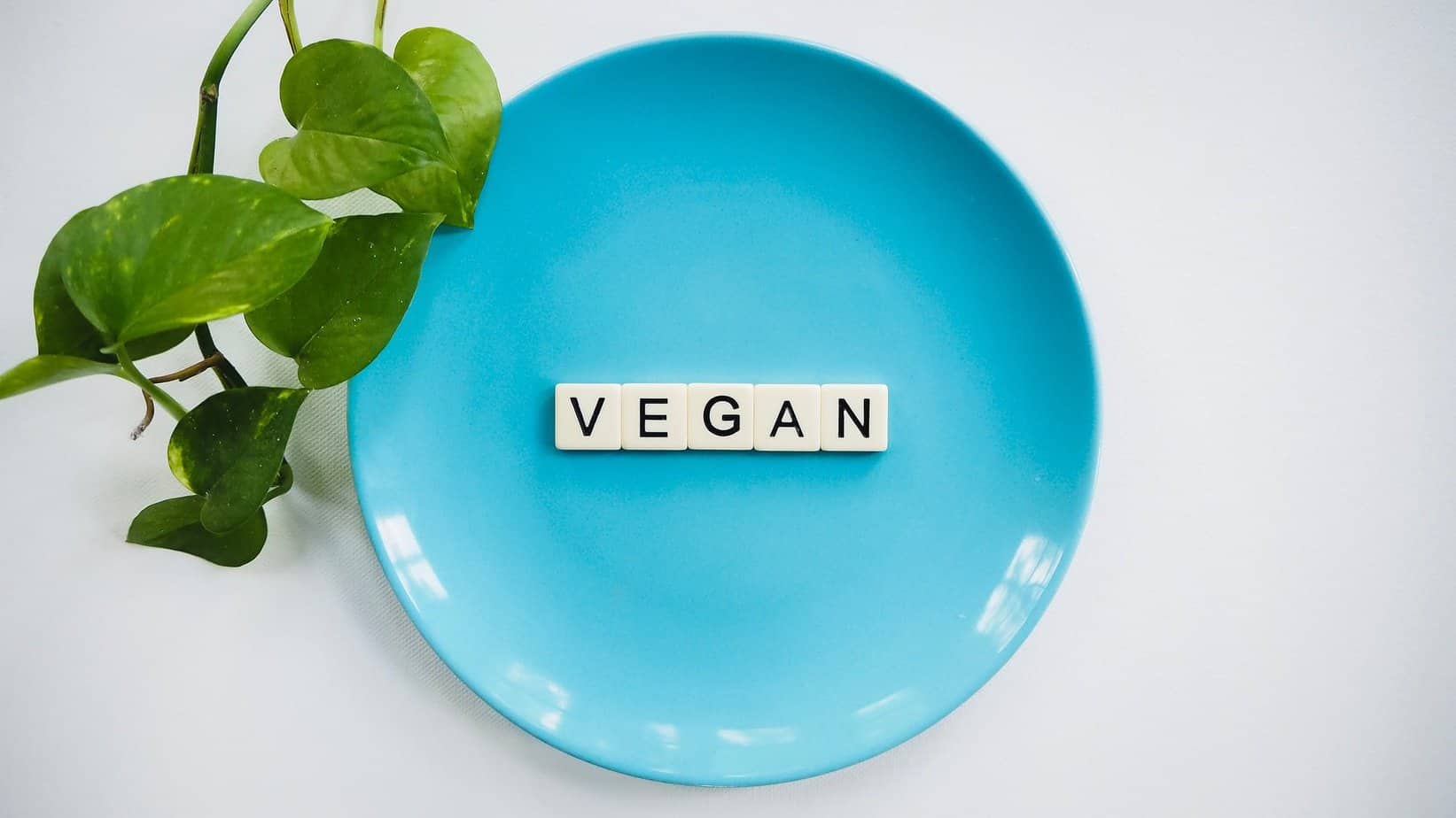 what going vegan mean