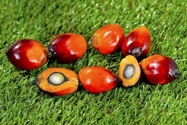 palm oil