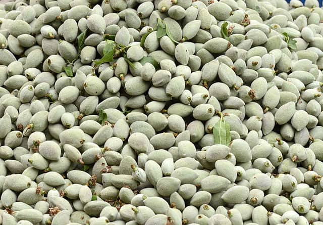 Green Almonds